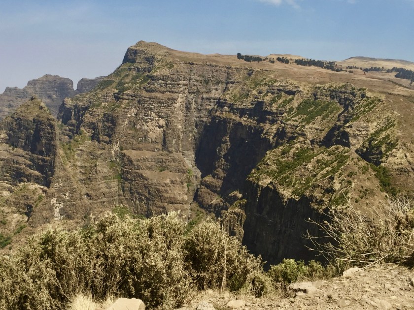 simien - 1 (7)