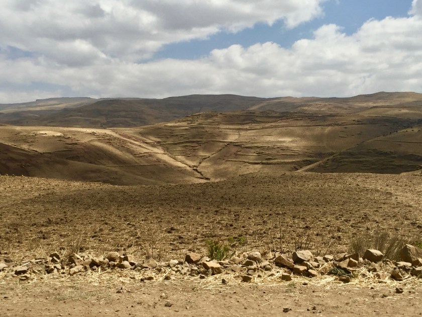simien - 1 (9)