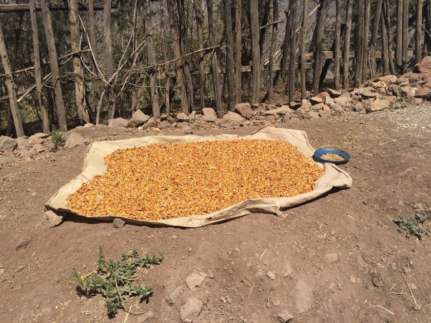 ethiopianfood - 1 (10)