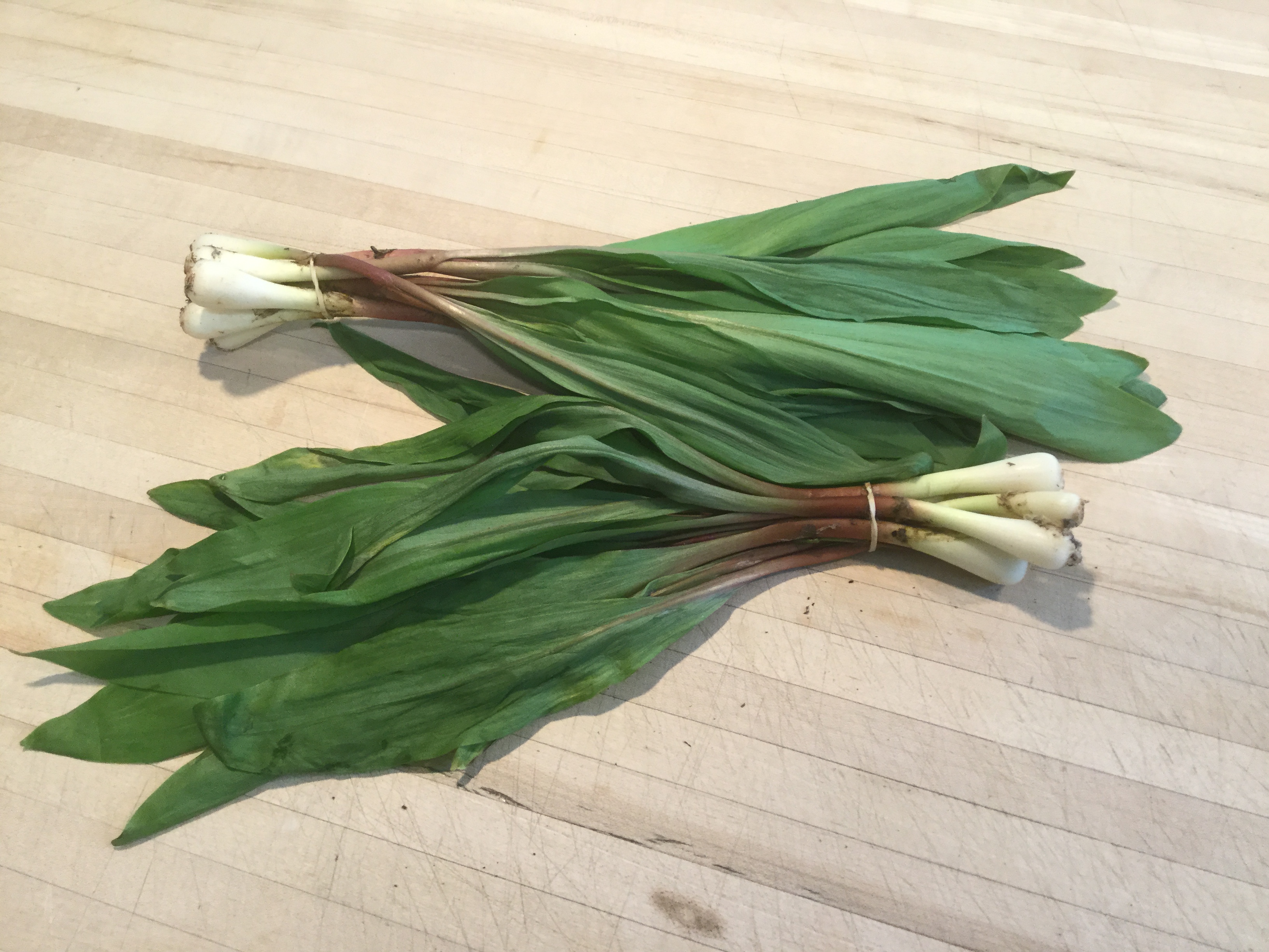 Ramps & Wild Mushrooms At the Farmers Market – ToneManblog